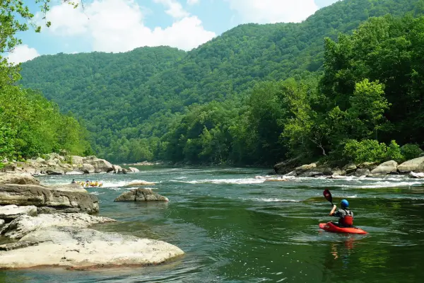 Explorando rios selvagens: um guia de canoagem na Amazônia