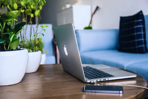 como tirar graxa de roupa